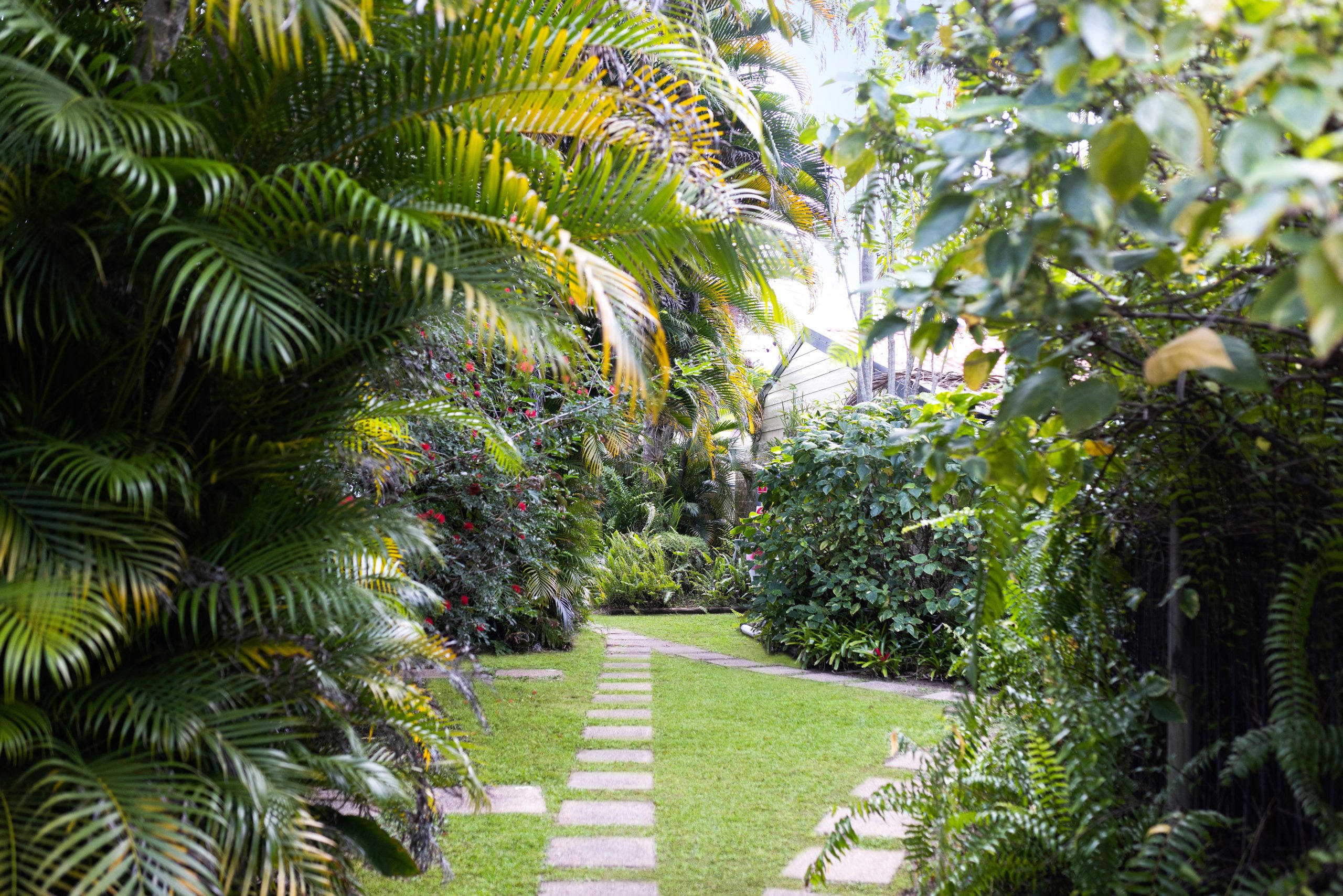Nature reserve trail leading to Balgal Beach