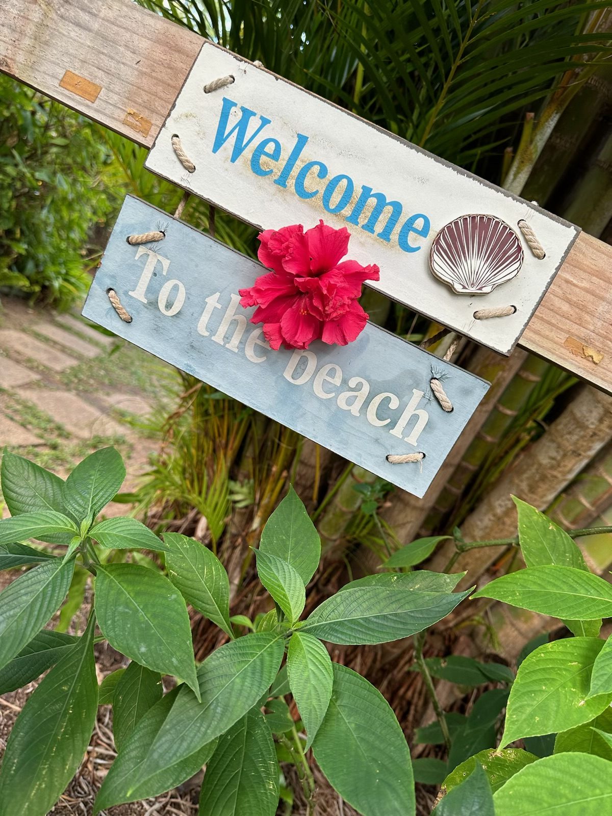 Palm trees lining the entrance